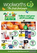 ★WOOLWORTHS CATALOGUE★ ☆25/09-01/10/2019☆