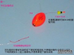 全层游动(深入篇)