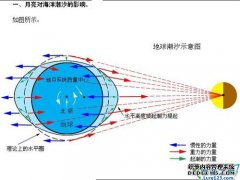 (学习贴)钓鱼跟着月亮走——解读月亮生物钟