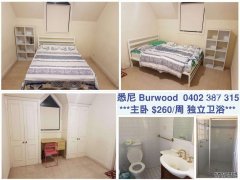 Burwood 主卧房 $260 一周