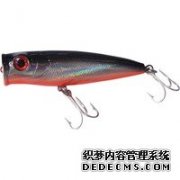 菜鸟今天在BCF图便宜买了一套装50%off，Shimano Si