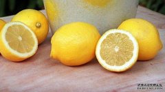 澳洲营养师协会将柠檬排毒减肥法评为最差流行