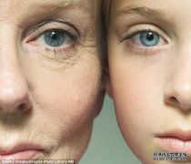 抗衰老药物并不能永葆青春：反而加速衰老(图