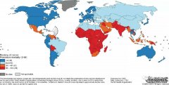 咨询：国内朋友孩子12岁盆腔恶性肿瘤，多发转移