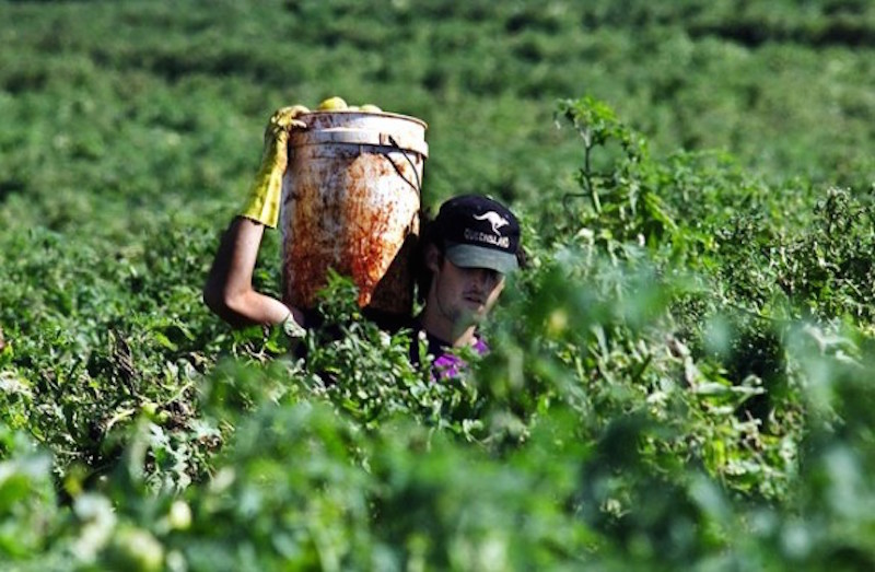 farm-work.jpg,0