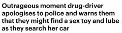 “我车上可能有假阳具”！南澳毒驾女子被捕丝