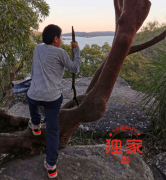 全澳迎来“返校潮”，华人家长犹豫难决！忧政