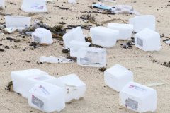口罩和塑料盒冲上岸，数个悉尼海滩关闭