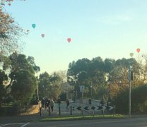墨尔本上空的热气球，今天多少小伙伴看到了？