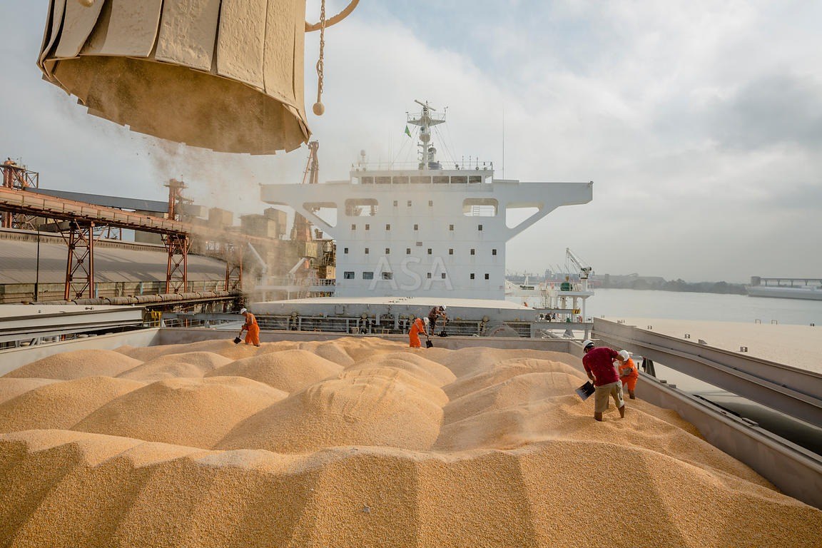 India's First Shipment of Wheat To Enter Via Chabahar » Pakissan.com