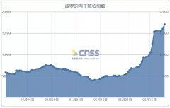 一个月翻三倍，美股的赌徒们考虑下船运？