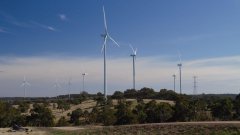 悉尼实现100%绿色能源运营！预计每年将节省50万
