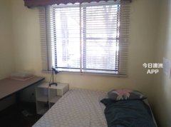 Redfern Sydney City悉尼个人出租单间 $250/week