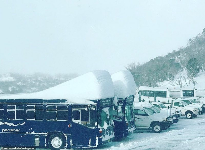 32271796-8655013-Vehicles_in_Smiggin_Holes_near_Perisher_have_been_covered_in_sno-a-71_1598153614608.jpg,0