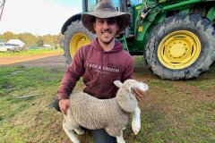 五条腿六只脚的羊羔在西澳农场出生