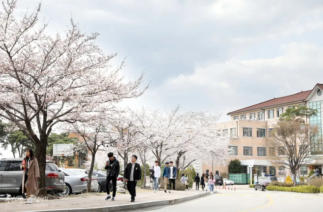 韩国成为留学界新宠，开启留学时代新篇章