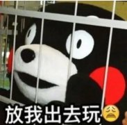 “外面的世界很危险”！ 墨尔本留学生2020关键词