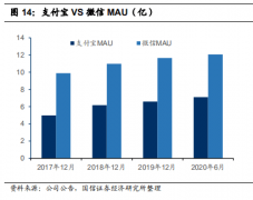 万亿巨无霸蚂蚁的“B面”