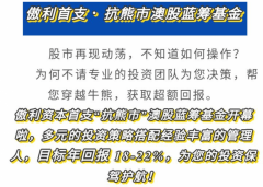 目标年回报18-22%，“抗熊市”澳股蓝筹基金，了