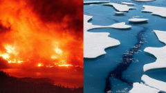 冠状病毒、气候变化和灾害：2020年是地狱般的一