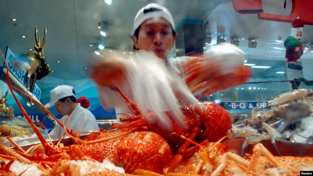资料照：澳大利亚悉尼海鲜市场的一名商贩在展示他烹饪的龙虾。