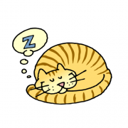 Weird Sleeping Cat 欣赏