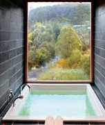 新西兰顶级生态酒店：哈普库树顶屋酒店(图)