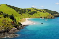 Z:15 Reasons We Should All Move To New Zealand If Donald Tru
