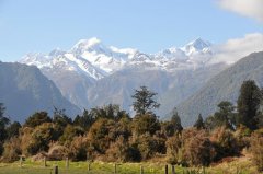 驻外手账 | 新西兰的乡土传奇——篱笆，女人和