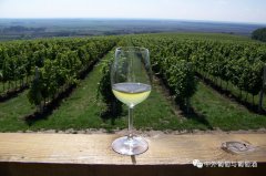 2017年新西兰葡萄酒行业报告：产量预计为418000吨