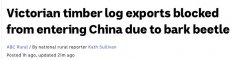 因屡现害虫，中国无限期停止进口维州木材，立