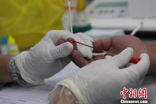 资料图为:工作人员采集血液。 刘治乾 摄 资料图为:工作人员采集血液。 刘治乾 摄