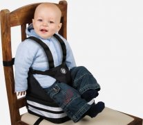 Babygear Travel Booster Seat在Farmers打折了