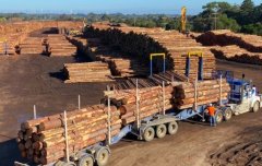 四个州木材，八家肉厂入华受阻！澳财长：中国