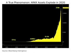 牛市女皇：ARKK基金的现象级崛起——从名不见经