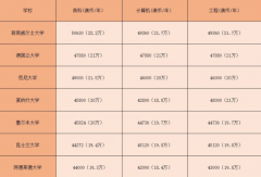 澳洲留学：一百万买了个211文凭，值吗？