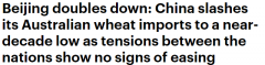 澳媒：澳洲小麦入华受阻，11月出口量创近9年新