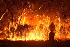 从山火到山洪，澳洲的夏天面临怎样的未来？（