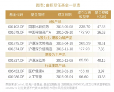 “十项全能”基金经理曲扬：7只基金4种风格，全