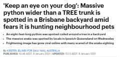 澳洲人家里后院惊现8英尺长巨蟒，网友表示：“