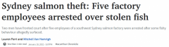 悉尼水产厂250吨三文鱼被盗，亚裔男子涉案被捕