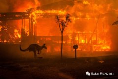去年的今天，全澳首例新冠在墨尔本确诊，回顾