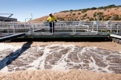 昆州13处污水处理厂测出病毒痕迹 对悉尼至少关
