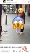 网曝中国大妈澳洲CBD“溜鸽子”，引爆网友热议
