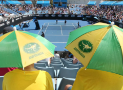 澳网2月8日开打 每天最多3万人进场观赛
