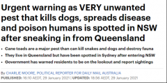 大批巨毒生物入侵澳洲，喜欢藏在后院，对人危