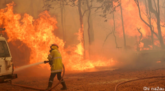 “两场灾难”，西澳山火肆虐，山火加强风，损