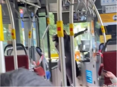 公交车上被要求戴口罩超不爽！悉尼女狂骂司机