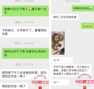 “他踩油门想撞我们！”澳华人雇人除草起冲突