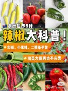 这8种澳洲超市辣椒，做出水煮肉片不是梦！